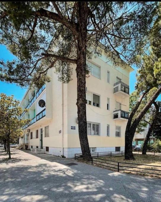 Apartment Music-Center, In The Center Of Podgorica Kültér fotó